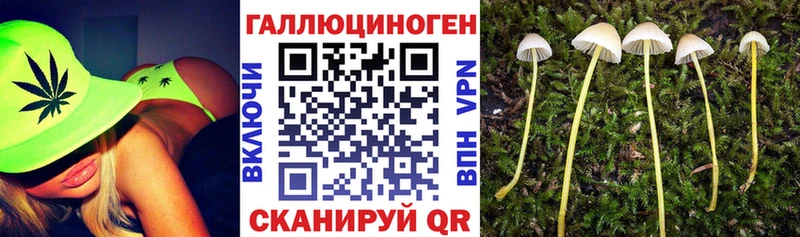 Галлюциногенные грибы прущие грибы  где продают   Арамиль 